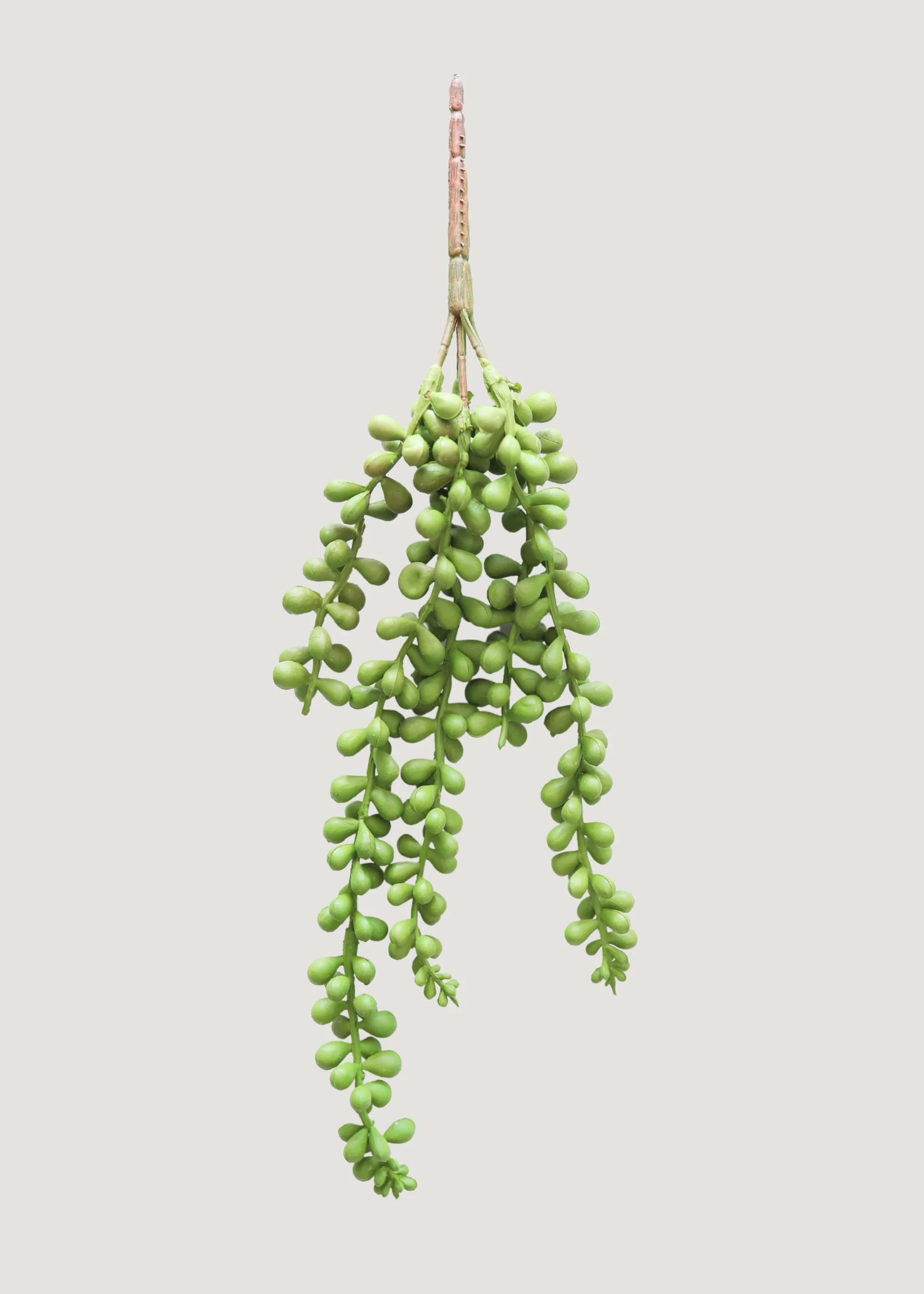 Artificial String of Pearls Hanging Succulent - 13" | Afloral
