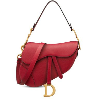 Saddle Bag - DIOR | 24S US