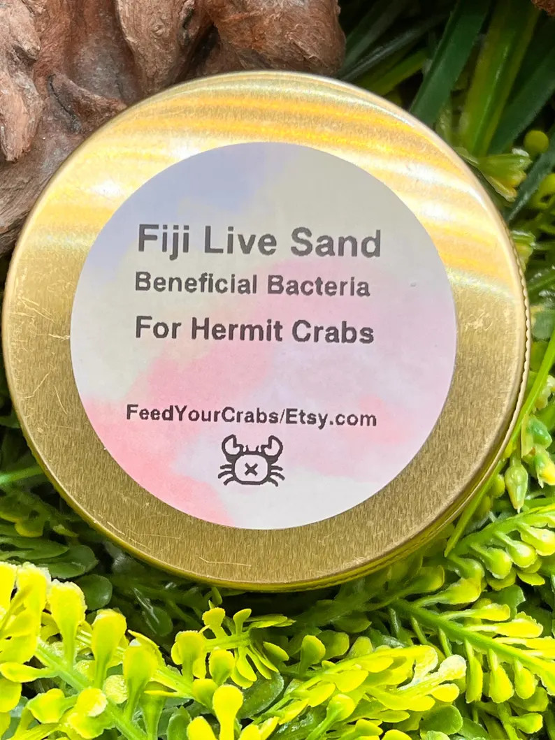 Fiji Tan Aragonite Live Sand for Hermit Crabs, Natural Calcium Substrate, Includes 1 Urchin | Etsy (Global)