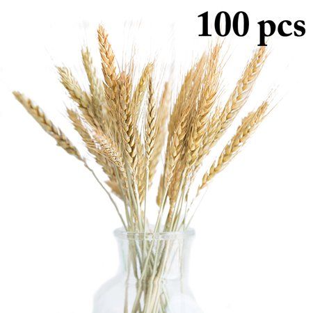100Pcs Artificial Wheat Grass, Justdolife Dried Wheat Sheaves Natural Elegant Pressed Flowers Fak... | Walmart (US)