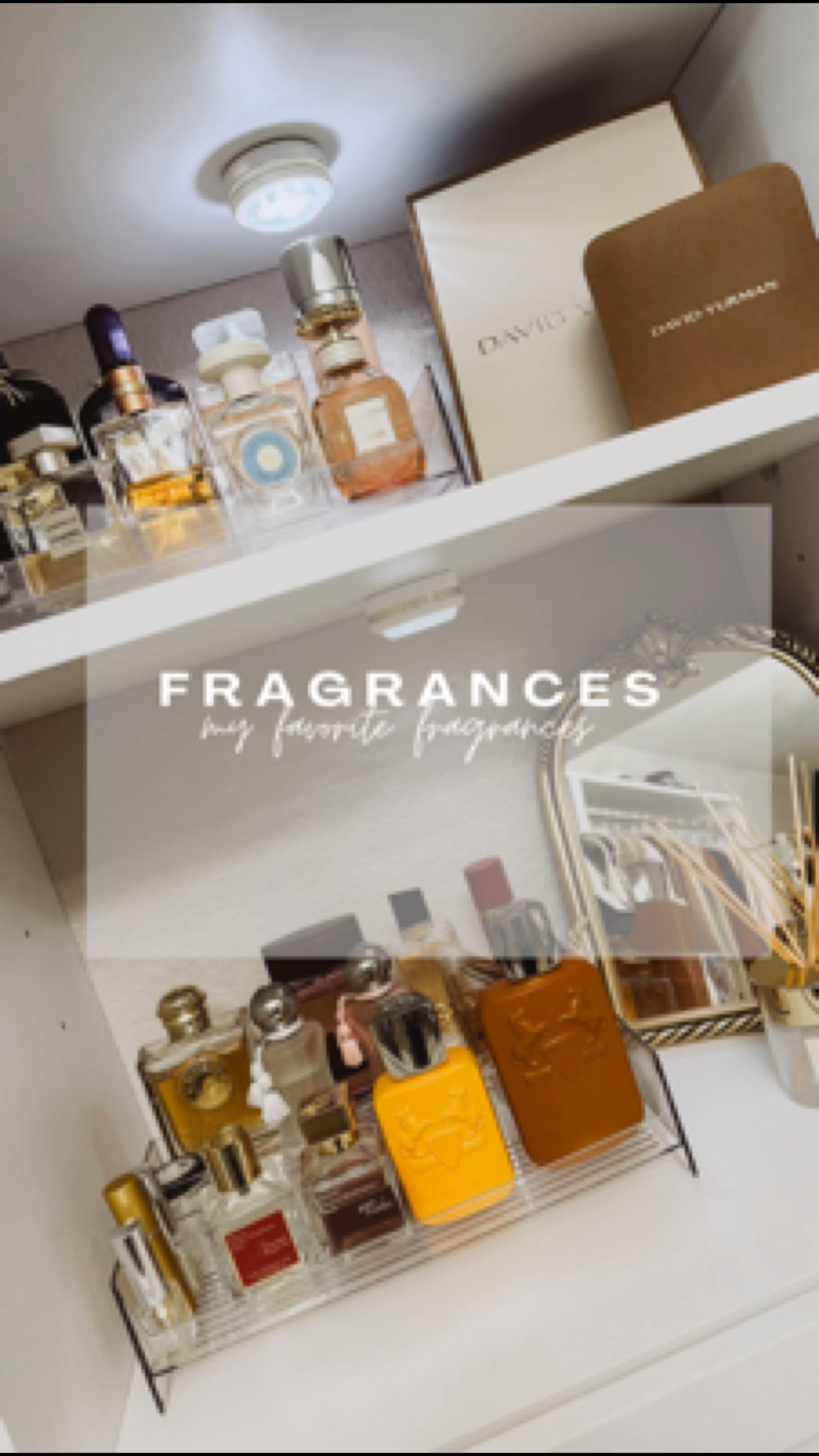 A few of my favorite fragrances. 

#LTKBeauty #LTKStyleTip