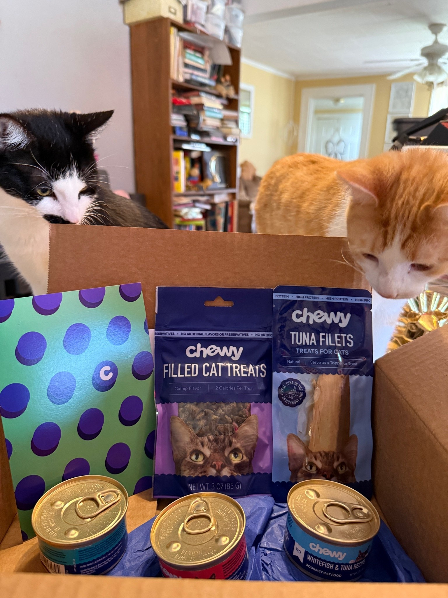 Lola and Orion would love thank Chewy for their gift. They and our other cats have loved the filled treats. Especially the tuna fillet! They said the canned food was delicious! Thank you Chewy for loving on our pets❤️

#ad #ChewyGifted #pets #LTKpets #chewy

#LTKHome #LTKdayinmylife