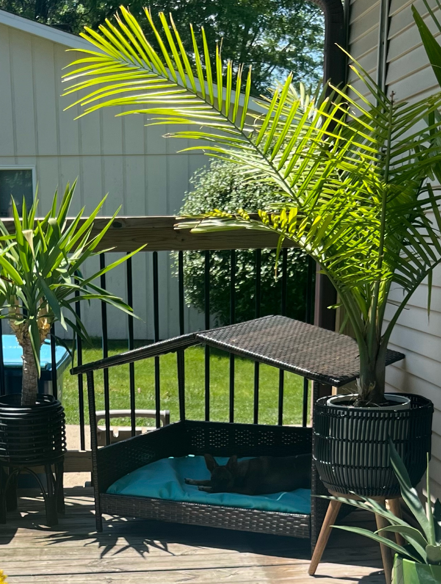 Perfect outdoor shade lounger for your pup. Our princess loves it. 

#LTKSeasonal #LTKHome