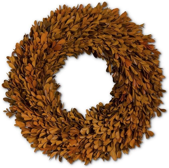 K&K Interiors 41605A-3 23 Inch Orange Preserved Boxwood Wreath | Amazon (US)