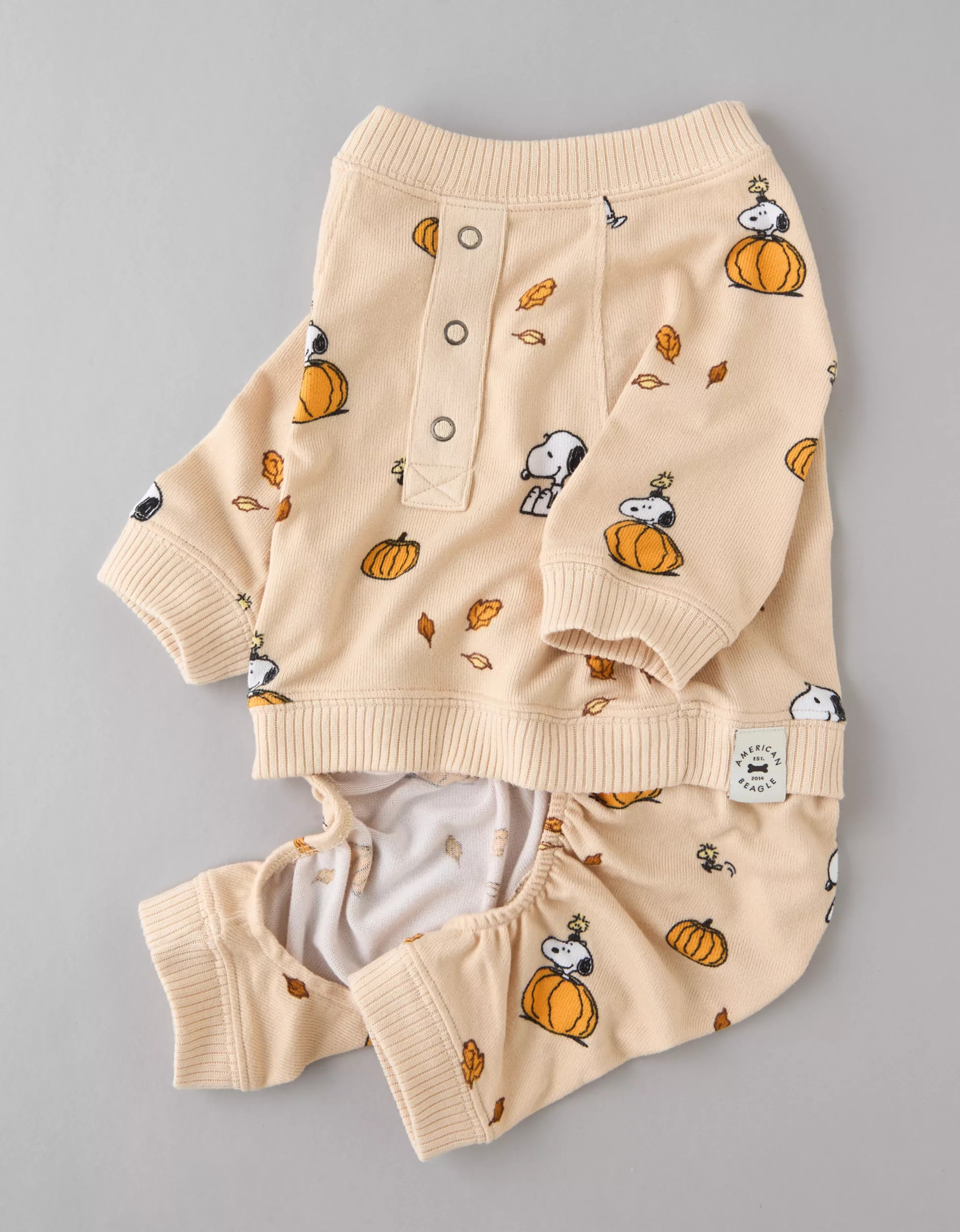 ABO Peanuts Fall Plush Dog PJ Set | American Eagle Outfitters (US & CA)