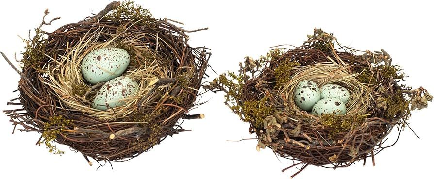 Melrose 58180 Twig and Foam Robin's Nests with Eggs Tabletop, Set of 2 | Amazon (US)