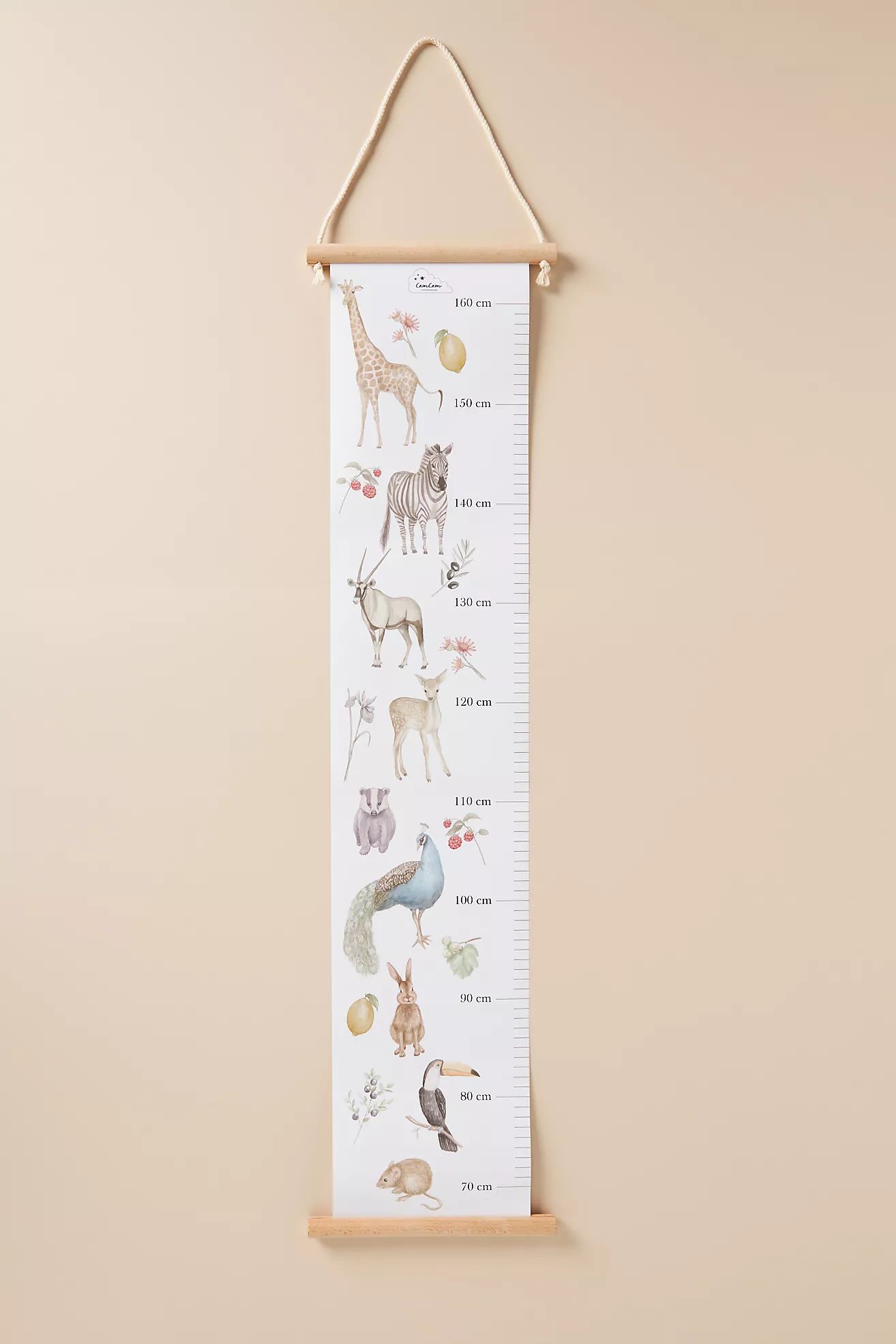Height Chart | Anthropologie (US)