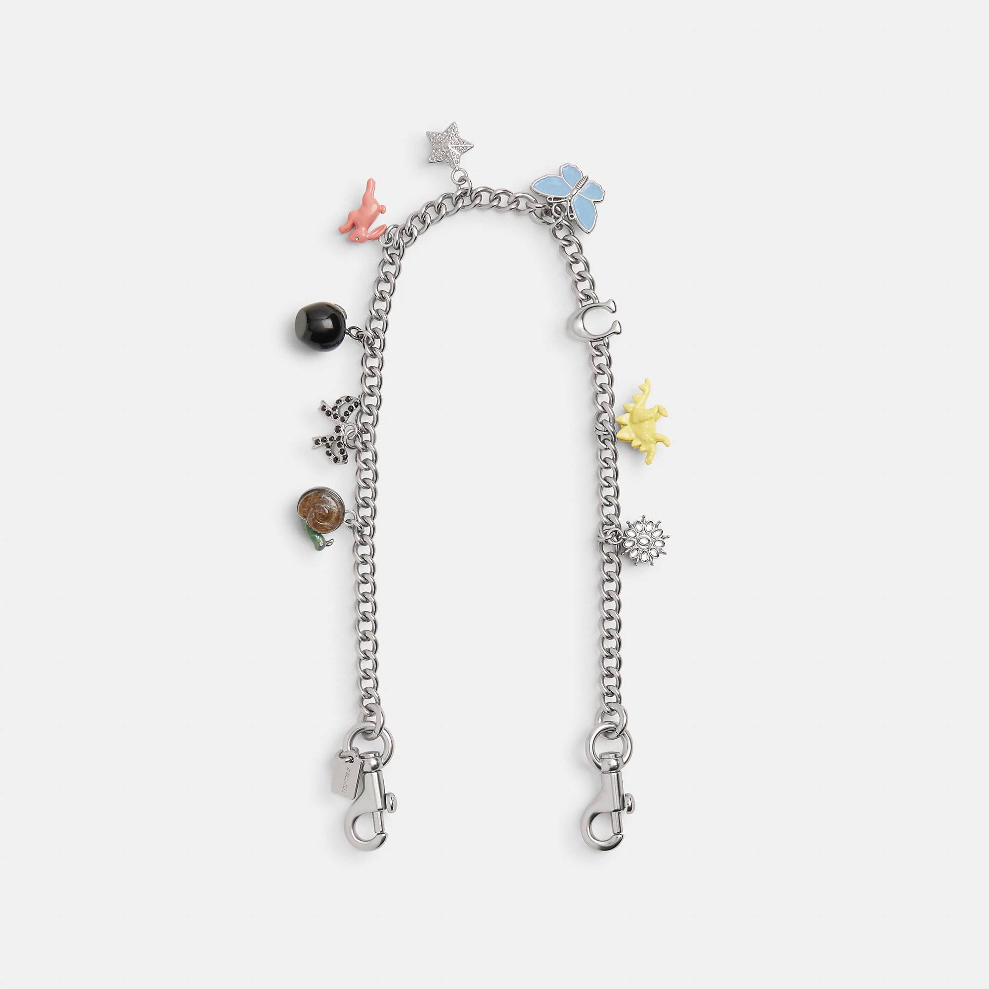 Chain Strap With Charms | Coach (US)