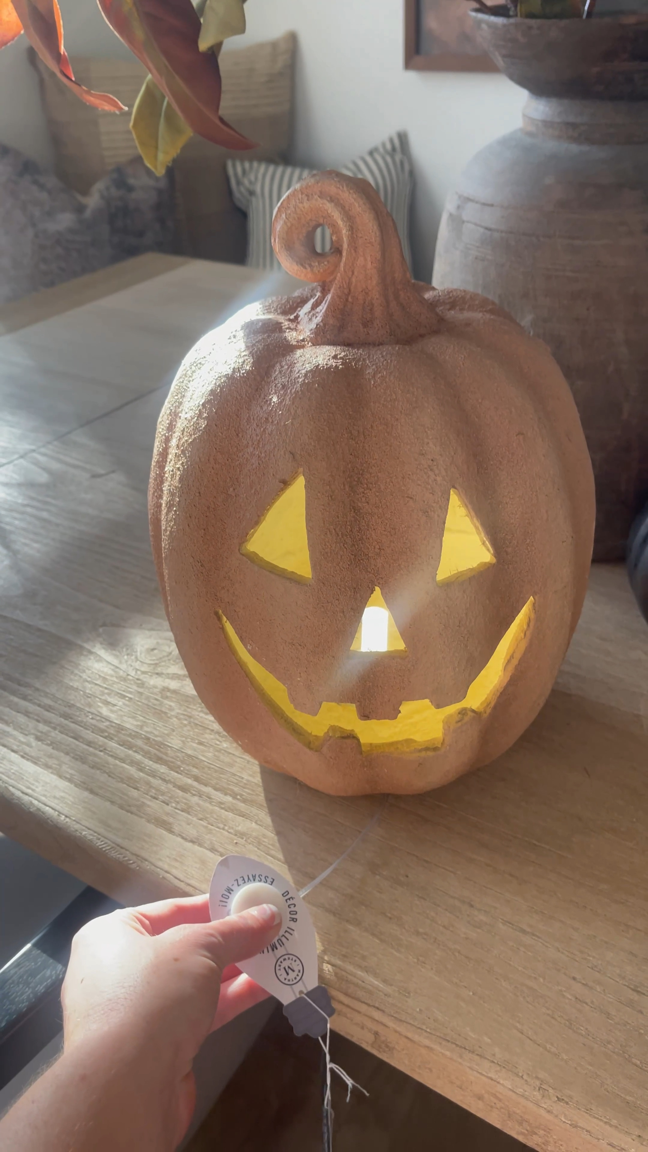 🍁🚨 AMAZING POTTERY BARN DUPE!! 🚨🍁 This would be so cute on a doorstep, fireplace, or accenting a larger vase with fall florals. #falldecor #potterybarndupe #falldecorating #ltkhome 

#LTKSeasonal #LTKVideo #LTKhome