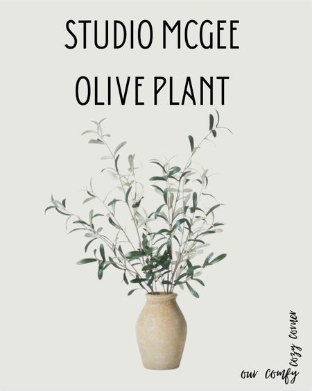 Studio McGee Olive Plant

#LTKunder50 #LTKsalealert #LTKSeasonal