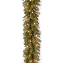 9ft. Pre-Lit Clear Lights Norwood Fir Garland | Michaels Stores