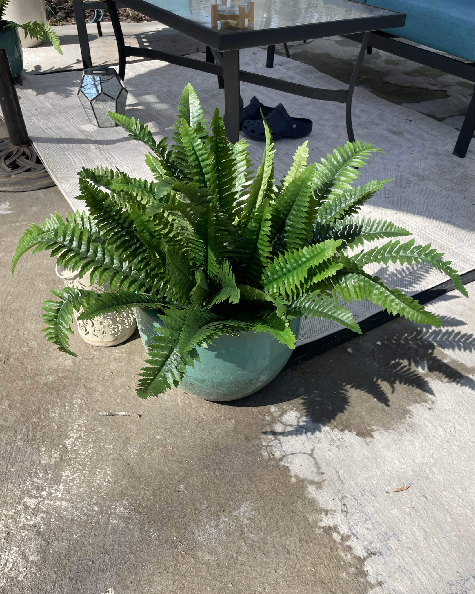Artificial Boston Fern 2 Set Large 55 for Outdoors 

#LTKHome #LTKSeasonal