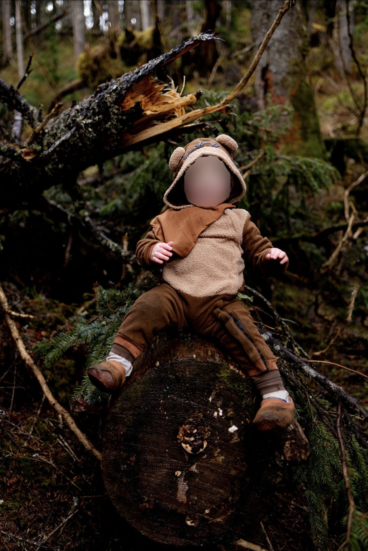 Family photoshoot | family photos | Family photoshoot ideas | Family outfits | Family cosplays | Star Wars family outfits | Star Wars family photoshoot | Star Wars | Princess Leia on Endor inspired outfit | Han Solo on Endor inspired outfit | Chewbacca on Endor inspired outfit | Princess Leia | Princess Leia cosplay | Princess Leia costume | Princess Leia Endor | Han Solo | Han Solo cosplay | Han Solo costume | Han Solo Endor Star Wars inspired outfit | Chewbacca | Chewbacca cosplay | Chewbacca costume | Chewbacca Endor Disney inspired outfit | Star Wars | Lightsaber | Nerd | Fangirl | Disney bound | Disney | Star Wars girl | Star Wars cosplay | Star Wars costume | Toddler costume | 

#LTKFindsUnder100 #LTKFamily #LTKFindsUnder50