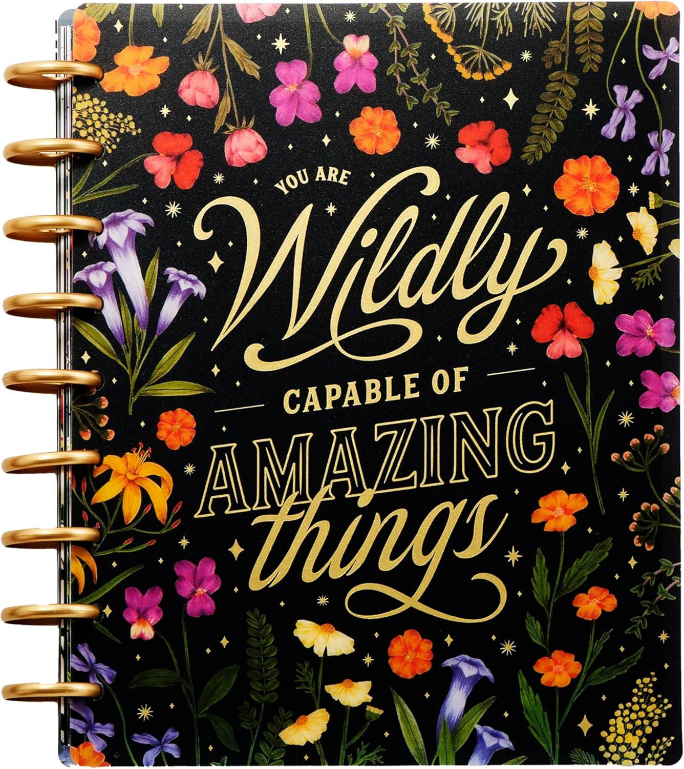 Happy Planner Disc-Bound 12-Month Planner, Jan.–Dec. 2025 Daily, Weekly, and Monthly Planner, C... | Amazon (US)