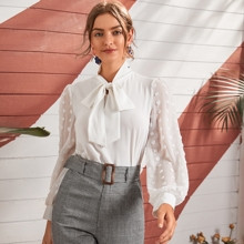 Swiss Dot Tie Neck Chiffon Blouse | SHEIN