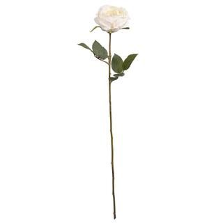 Cream Cabbage Rose Stem by Ashland® | Michaels Stores