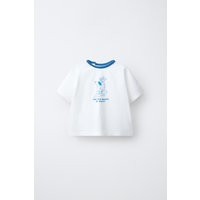 Zara - Surf Dog Print T-Shirt - Light Ecru - 6-9 Months (29,1 Inches) - Kids | Zara US