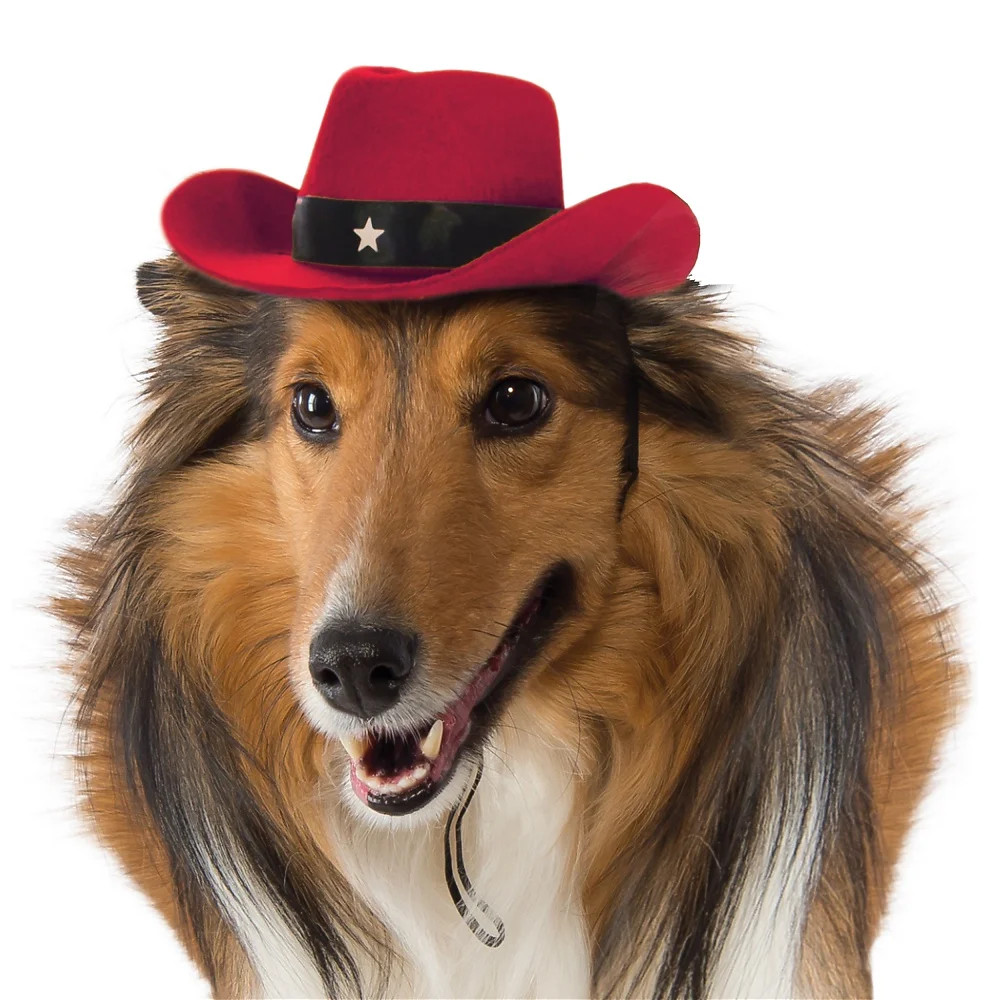 Dog Cowboy Hat Pet Costume Accessory Red - Medium/Large | Walmart (US)