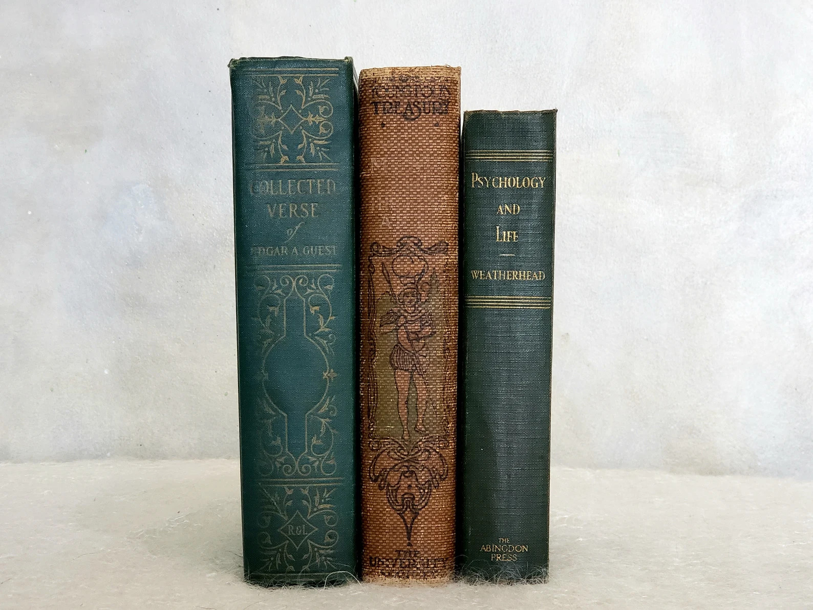 Green Book Bundle Antique Staging and Decor Bookshelf by Color - Etsy | Etsy (US)