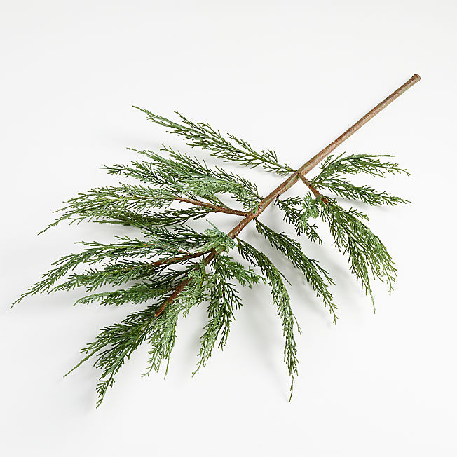Extra-Large Faux Cypress Tree Stem + Reviews | Crate & Barrel | Crate & Barrel