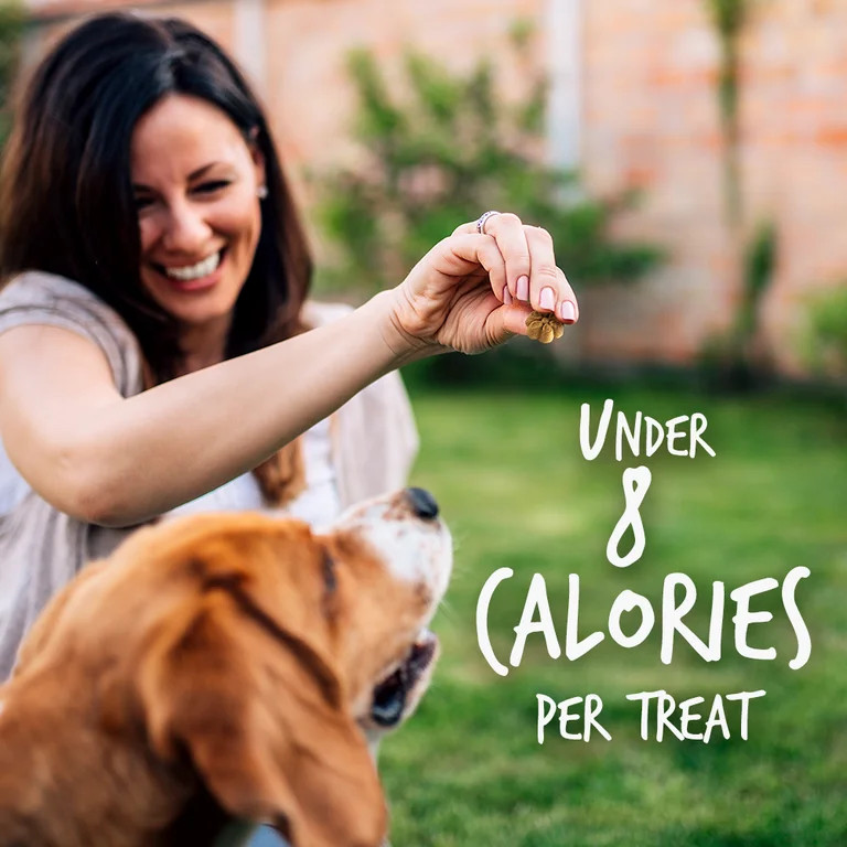 Fruitables Crunchy Baked Dog Treats Pumpkin/Blueberry, 1ea/7 oz | Walmart (US)