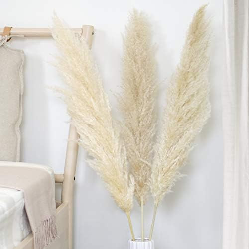 WTS Natural Dried Pampas Grass Decor - 3 Beige Stems (48'' Tall) - Tall Stemmed Real Pampas Grass... | Amazon (US)