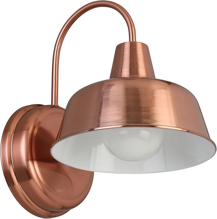 Design House Mason Farmhouse Gooseneck Barn Light, Outdoor Exterior Porch or Patio Wall Light Fix... | Amazon (US)