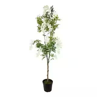 6ft. Potted White Wisteria Tree by Ashland® | Michaels Stores