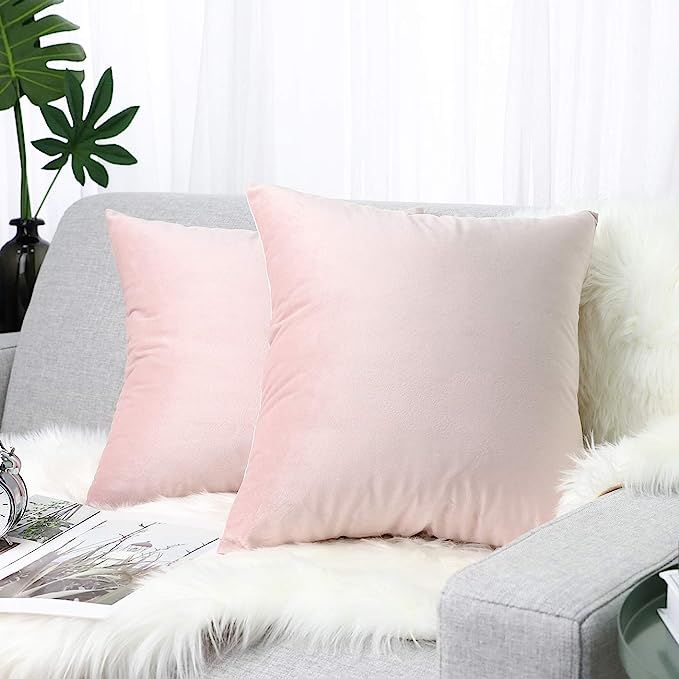 Lewondr Velvet Soft Throw Pillow Cover, 2 Pack Modern Solid Color Square Decorative Throw Pillow ... | Amazon (US)