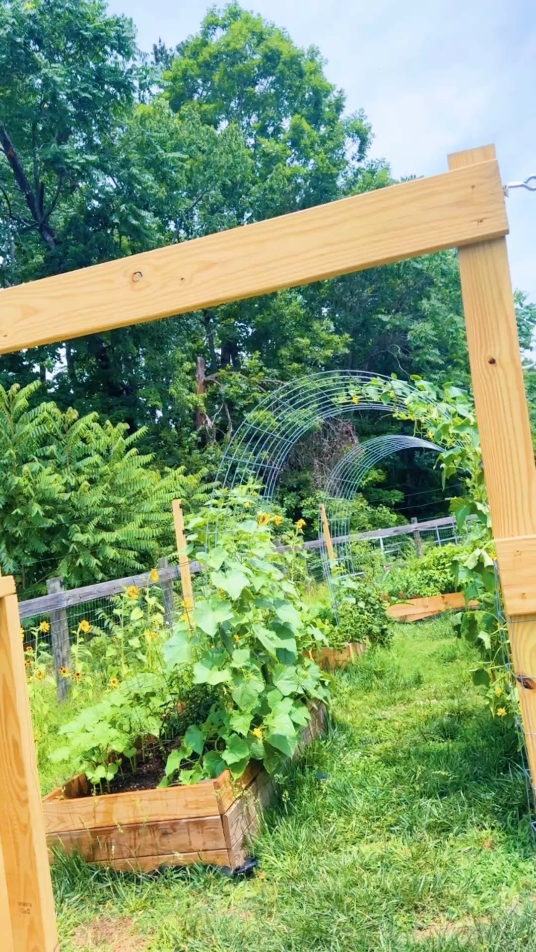 living my dream life these days barefoot 👣 and out in the garden 🪴 playing with my babies 👶🏼, having picnic 🧺 lunches 🥪 in the treehouse 🌳, and watching all the good things grow!!! 🌻