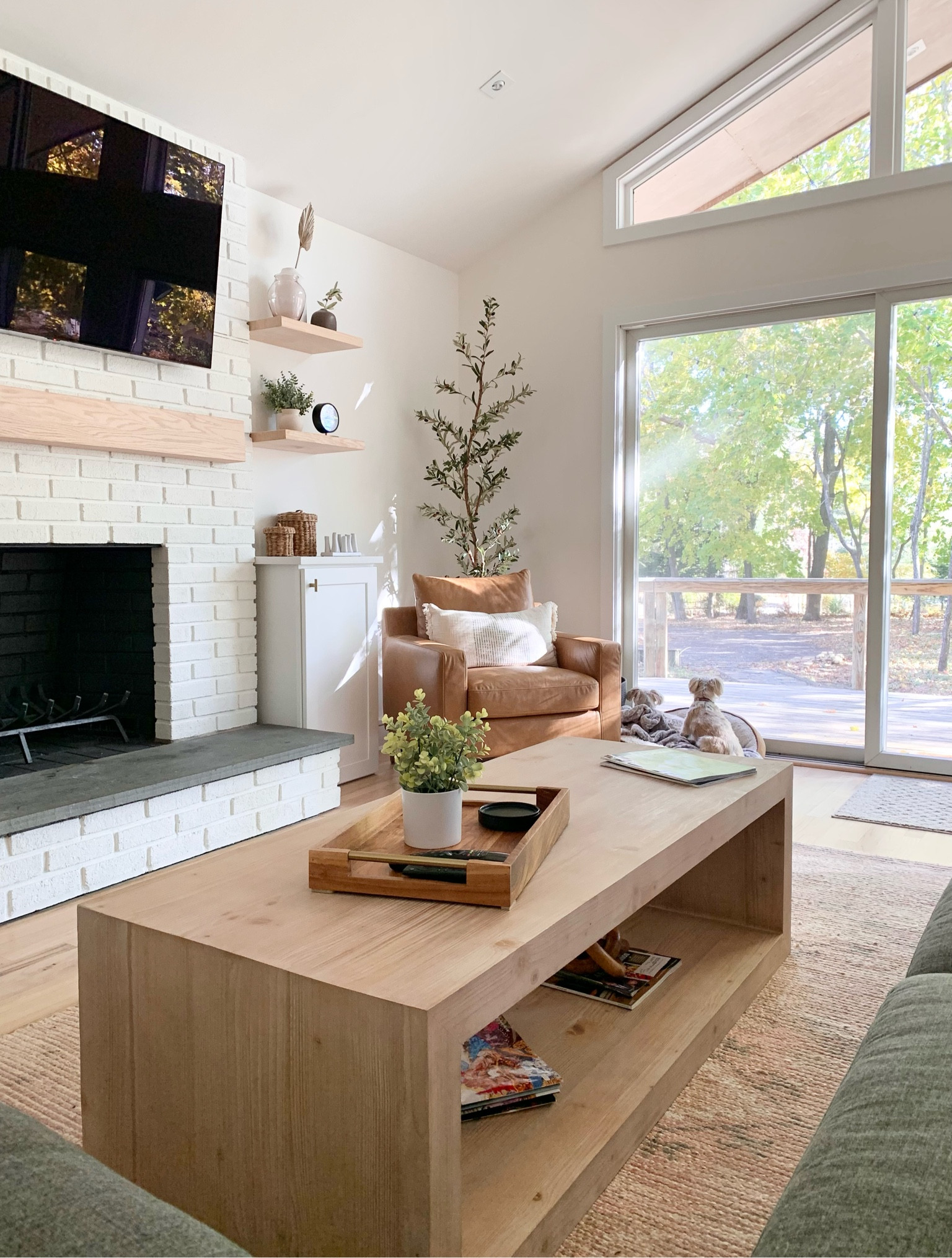 Living room at the Chalet! Simple, casual, mid-century modern aesthetic. 

Home decor
Clean aesthetic 
Area rug
Coffee table
Side chair
Arm chair
Leather club chair
Tray
Faux olive tree

#LTKfindsunder100 #LTKhome #LTKfamily