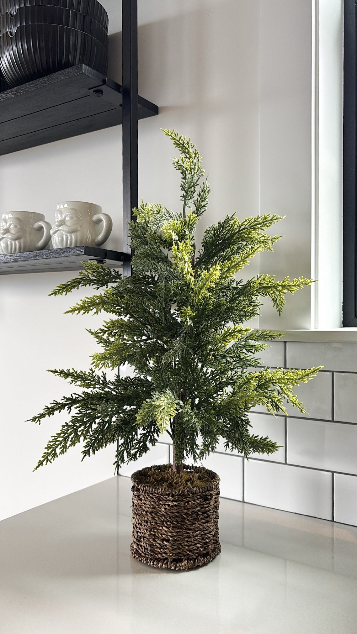 H O L I D A Y / this even-cuter-than-the-potted-trees-I-originally-ordered (that got cancelled) weaved base Christmas tree just made my day SO much better 🌲🙌🏻

Walmart Canada | Amazon Canada | Wayfair Canada | Holiday Home Decor

#LTKcanada #LTKholiday #LTKhome