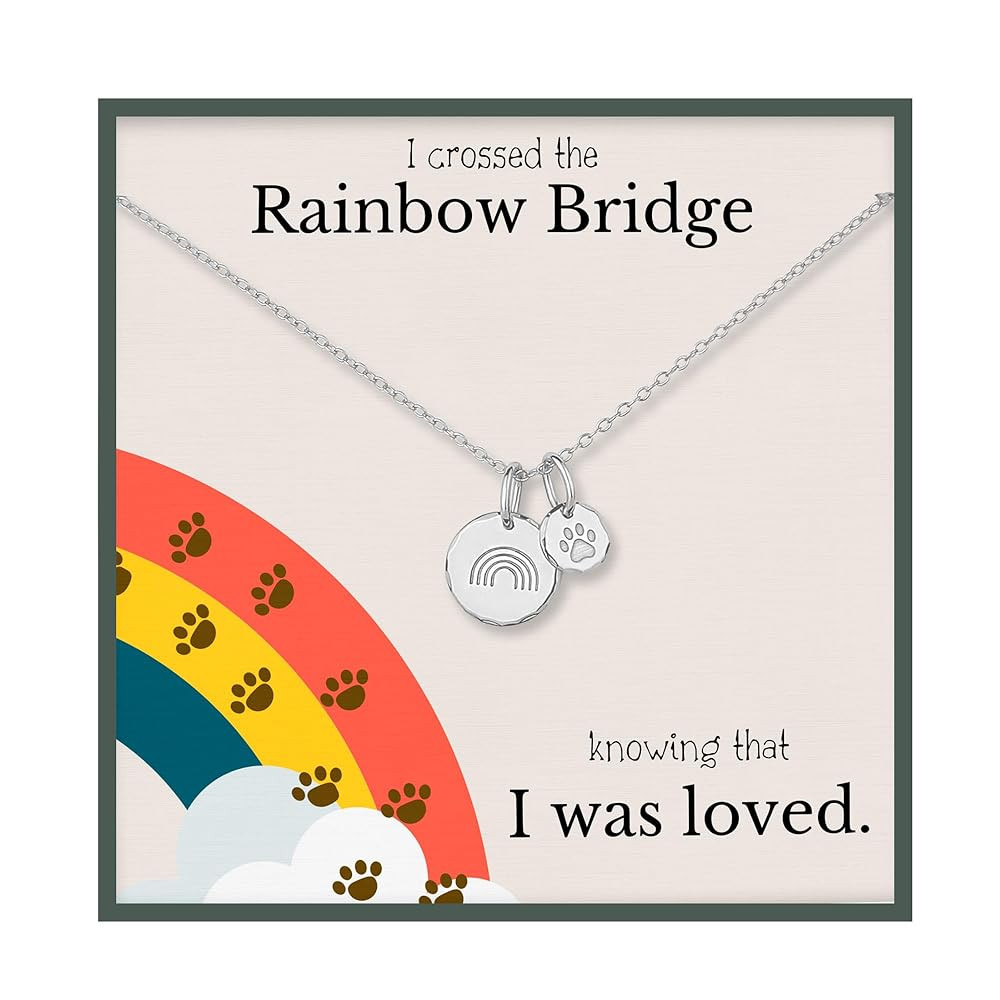 HOPE LOVE SHINE Rainbow Bridge Pet Memorial Necklace - Sympathy Gifts for Loss of a Pet - Cat & D... | Amazon (US)