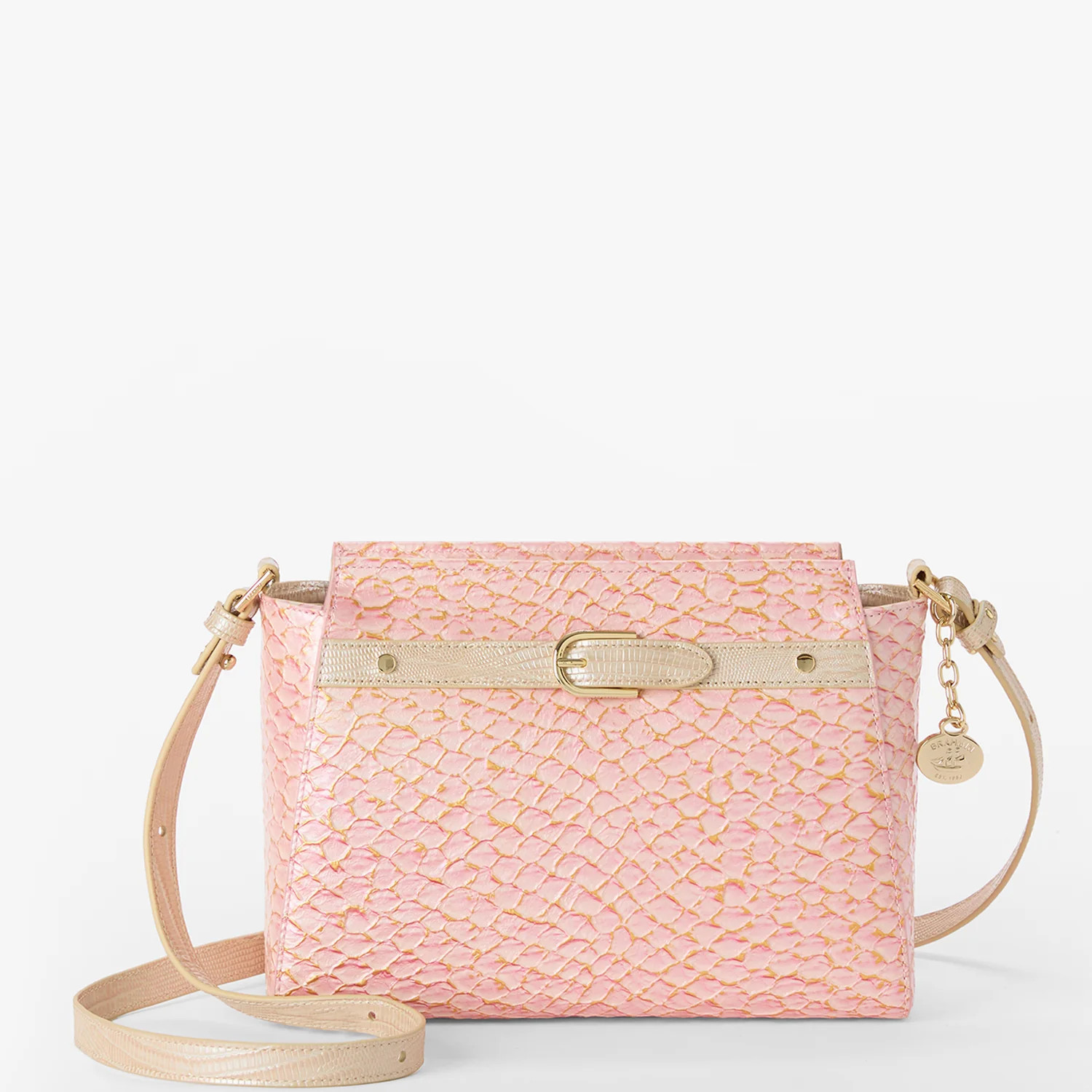 Hillary | Brahmin