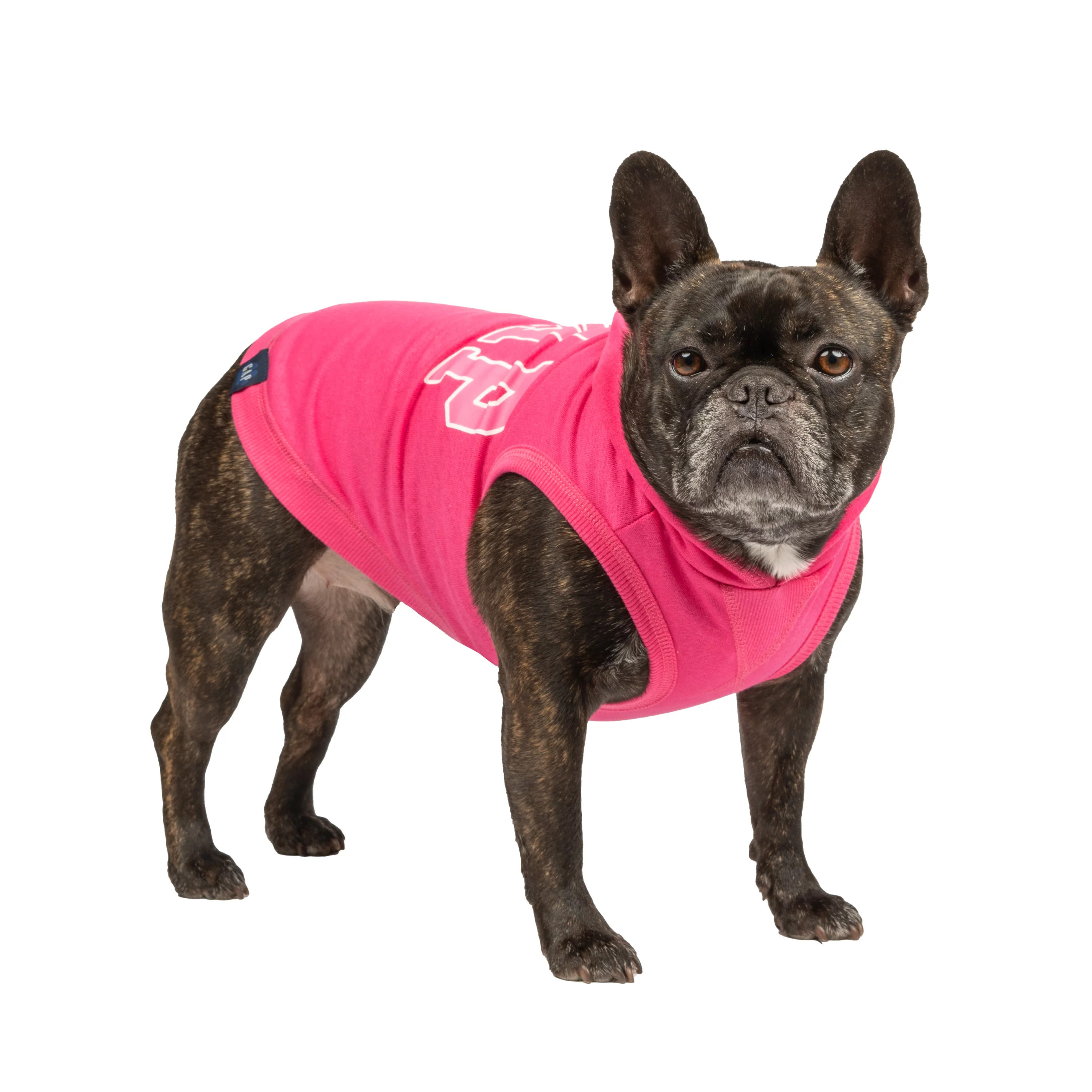 Gap Pet, Dog and Cat Clothes, Classic Logo Gap Pet Hoodie, Pink, Medium | Walmart (US)