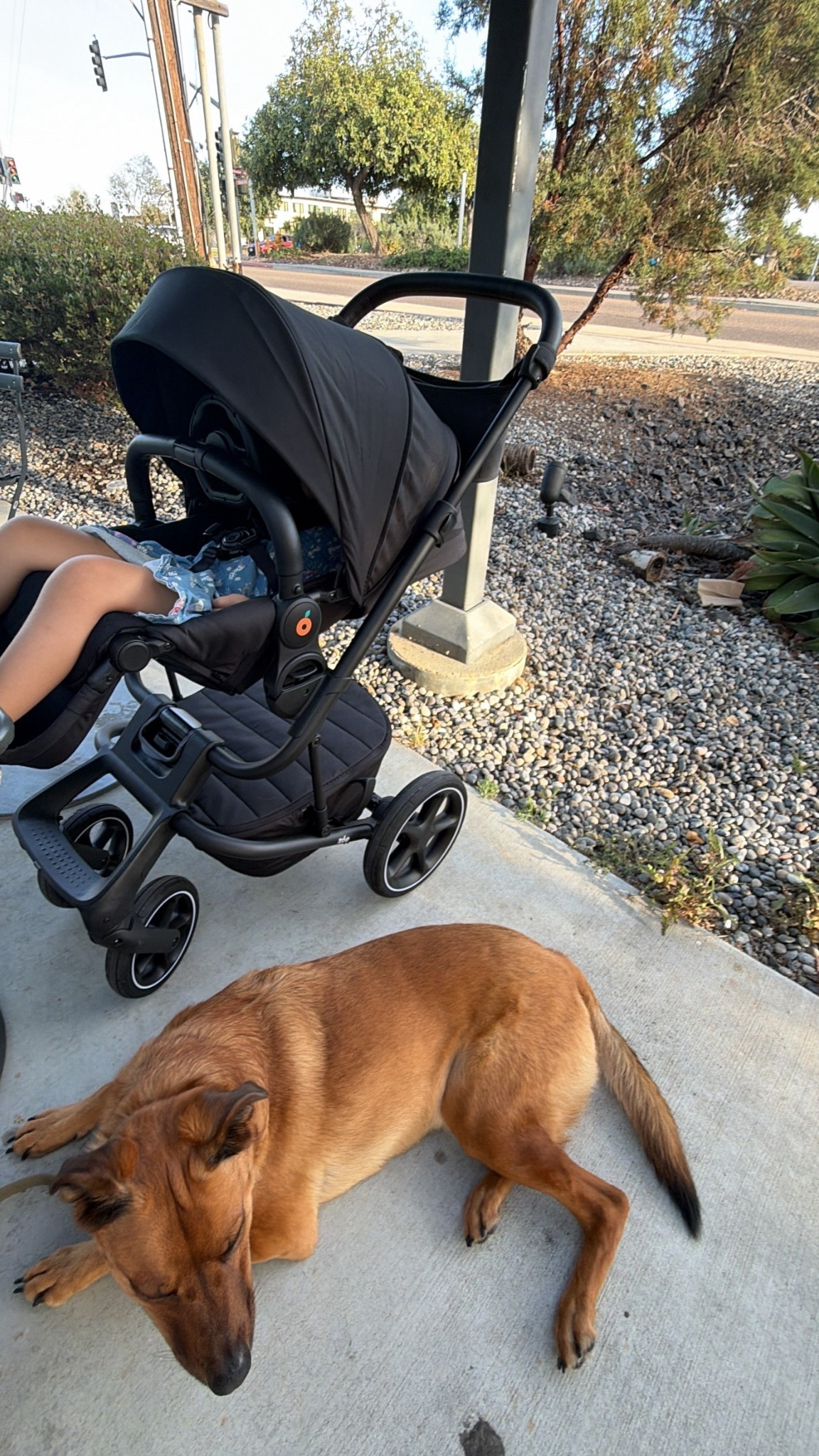 Zoe strollers are truly my favorite!! I’ve been loving the Journey so much!! It comes with a bassinet, the toddler seat, a kids steering wheel toy and a phone/cup holder!! And the best thing is that it can also covert to a double stroller as well! 

My toddler will be 4 this year and fits great in it!

#LTKBaby #LTKTravel #LTKmomlife