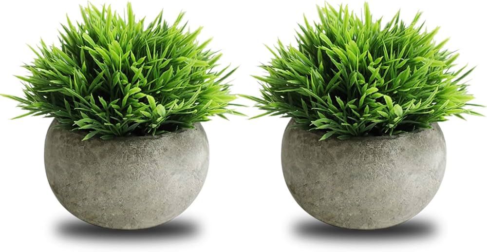 THE BLOOM TIMES 2 Pcs Small Fake Plants for Home Decor Indoor, Artificial Faux Potted Greenery fo... | Amazon (US)