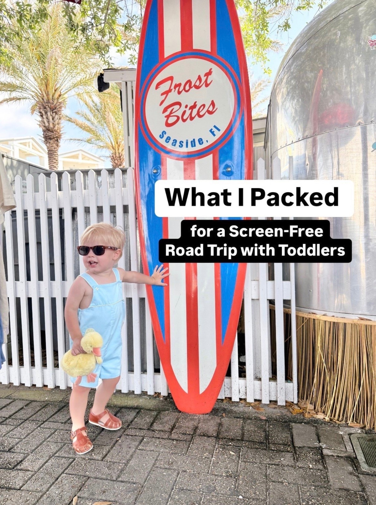 What I pack for a smooth road trip with toddlers!

#LTKmomlife #LTKTravel #LTKKids