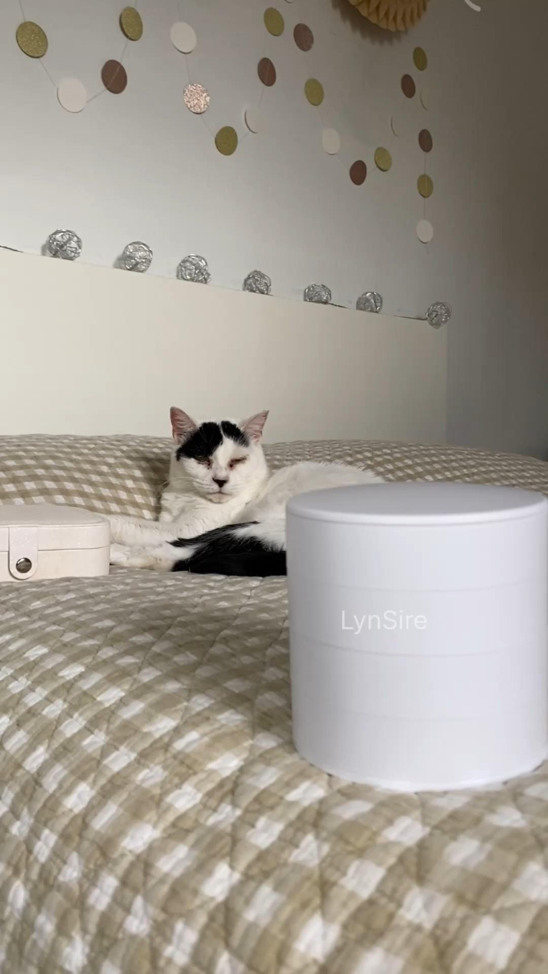 Asmr travel jewelry organizer 🤍 

#asmr #jewelry #unbox #haul #neutralstyle #explore
Unboxing videos, unboxing asmr, unboxing pr packages, gifted, travel must haves, travel must have amazon, amazon finds, jewelry organizer, neutral style, girly things, original sound, satisfying

#LTKTravel #LTKWorkwear #LTKItBag