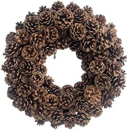 20 Inch Fall Front Door Wreath Natural Pinecone Wreath Polyfoam Base Flower Farmhouse Grapevine W... | Amazon (US)
