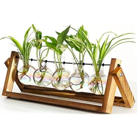 Mkono Desktop Plant Terrarium Glass Vase, Farmhouse Plant Propagation Jars with Wooden Stand Flower  | Amazon (US)