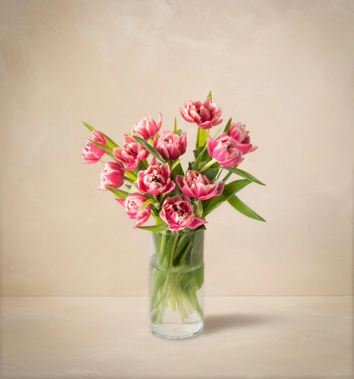 The Parasol | UrbanStems