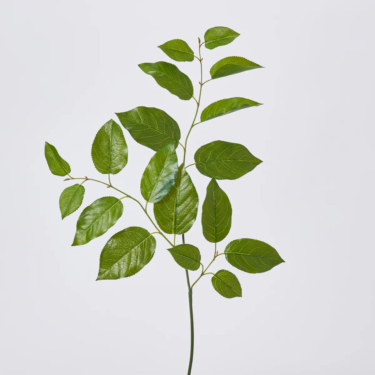 Real Touch Triple Salal Leaf Branch Spray Faux Everyday Greenery - 31" | Darby Creek Trading