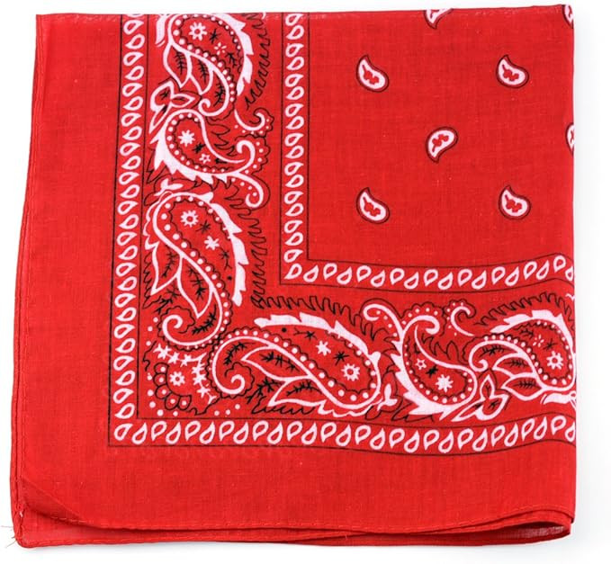 NYFASHION101 Unisex Double Sided Print Paisley Cotton Bandana Head Wrap Scarf | Amazon (US)