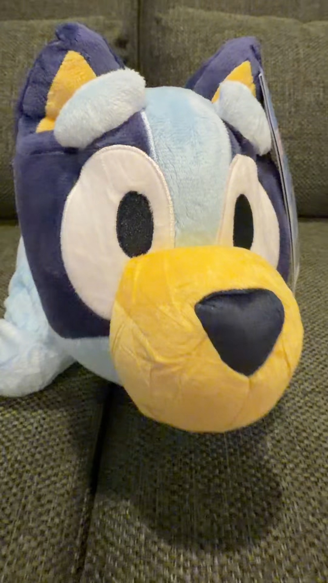 Dance mode!! #pillowpet #bluey

#LTKmomlife #LTKKids #LTKdayinmylife