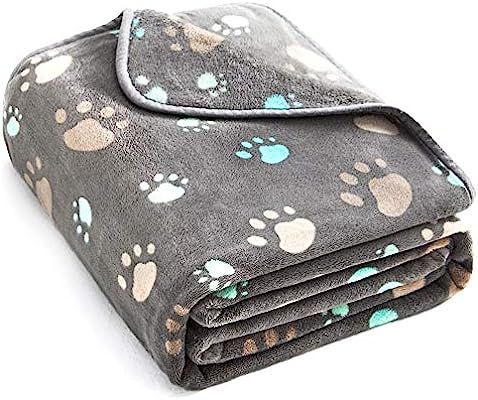 ALLISANDRO 350 GSM-Super Soft and Premium Fuzzy Fleece Pet Dog Blanket, The Cute Print Design Was... | Amazon (US)