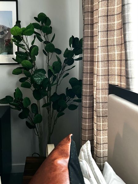 Found this cute faux aralia balfour tree on Amazon and it polished up this corner of my son’s room perfectly. It’s 6ft tall for a really good price, so I was sold! 



#LTKhome #LTKfindsunder100