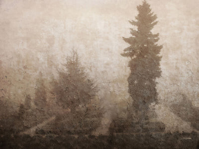 Foggy Fall | Collection Prints