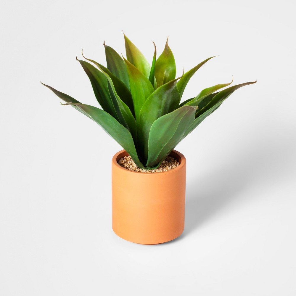 14"" x 10"" Artificial Succulent In Terra Cotta Pot Green - Project 62 | Target