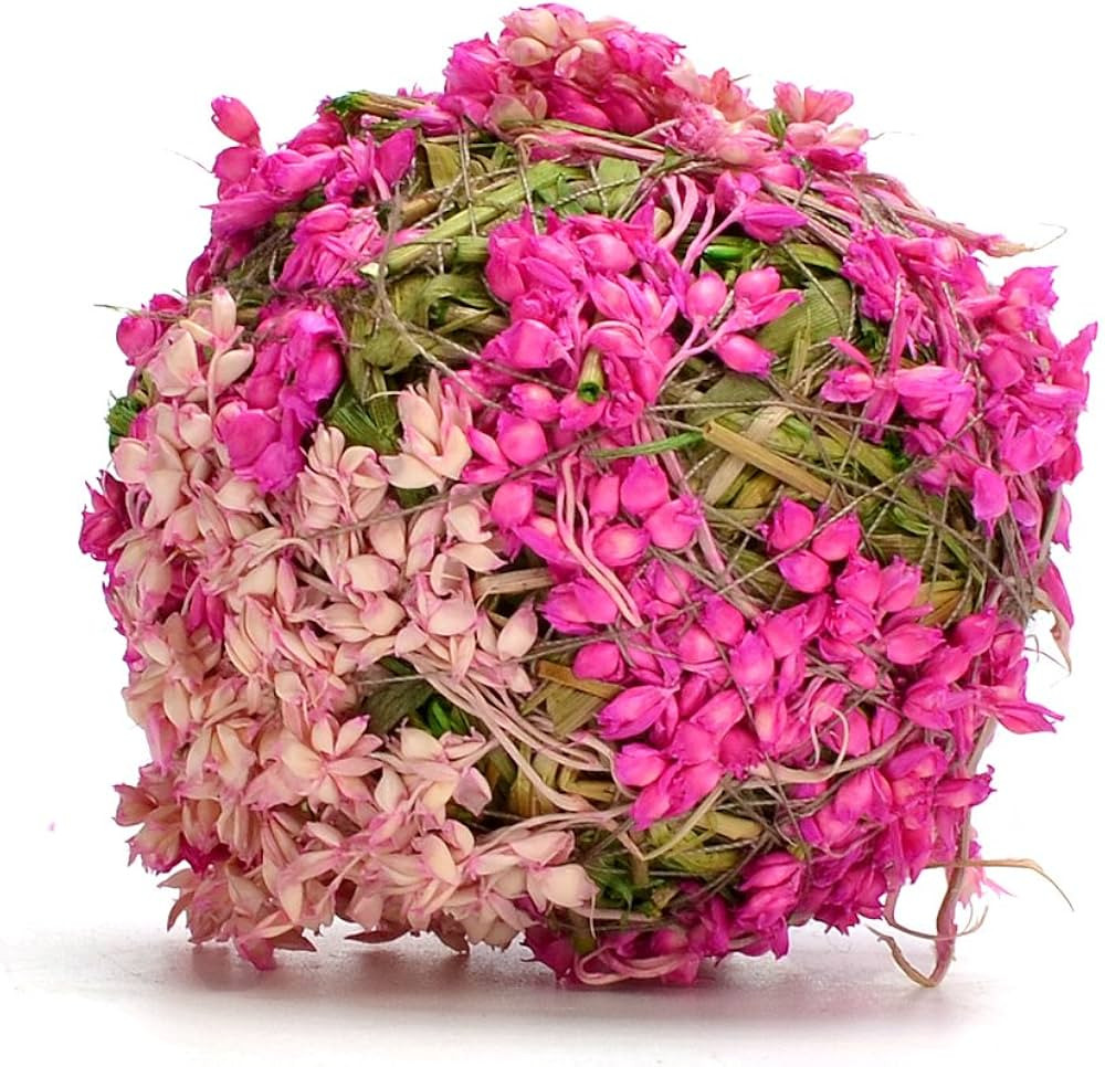 BYHER Natural Preserved Moss Hanging Ball Vase Bowl Filler for Garden, Wedding, Party Decoration ... | Amazon (US)